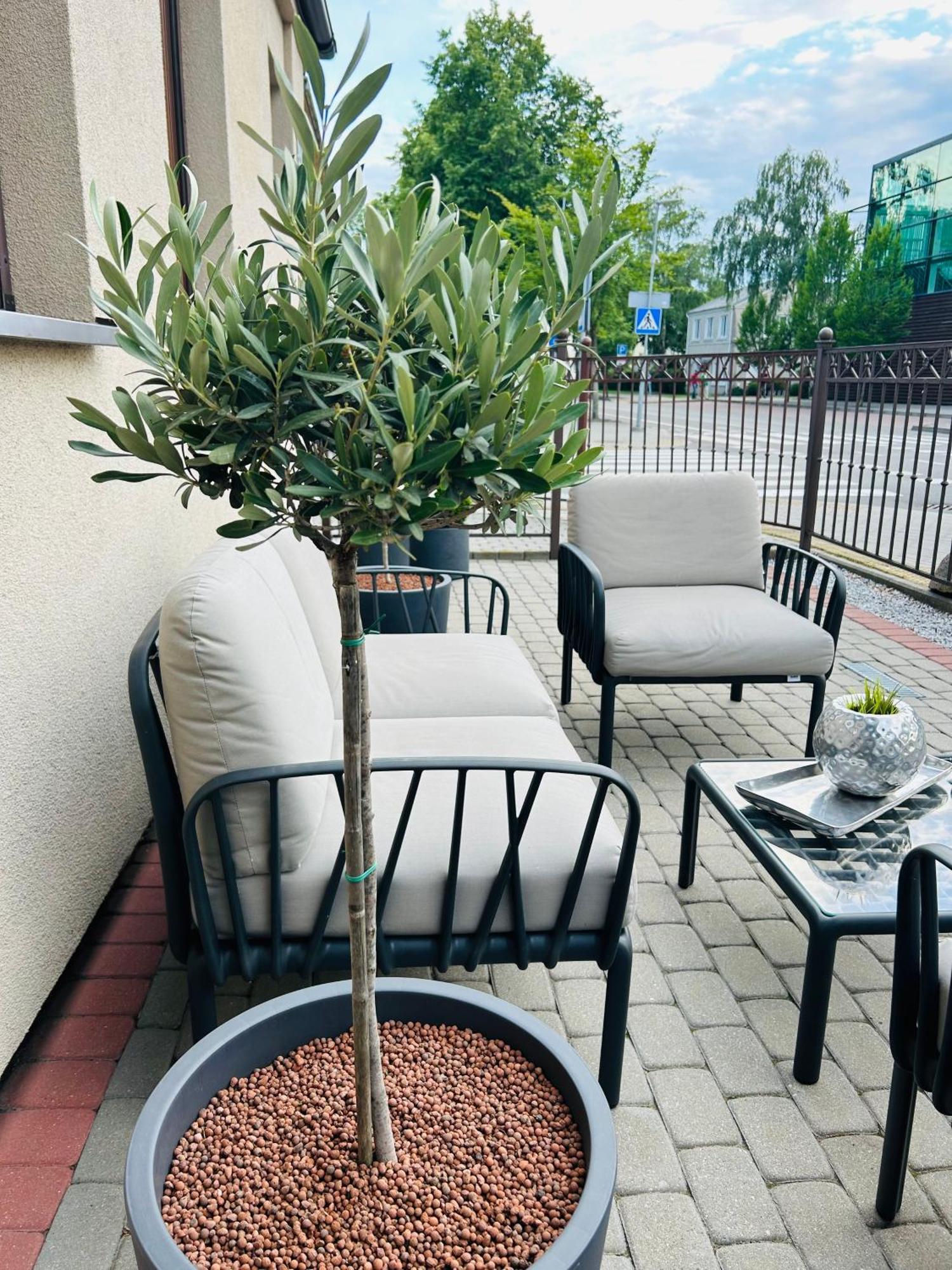 Astos Vila Palanga Eksteriør billede
